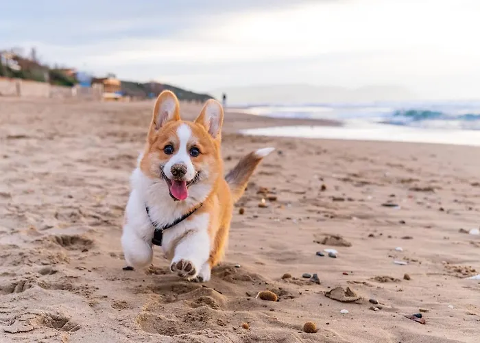 Tiny Historic Quarter By Promenade Pier Portimao