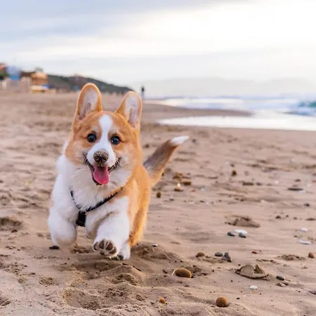 Tiny Historic Quarter By Promenade Pier Portimao
